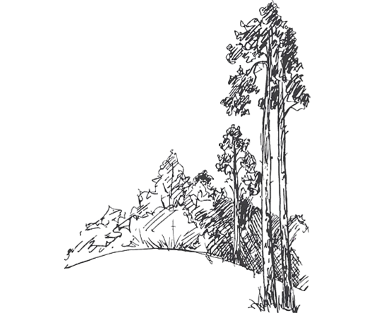 Unlock%20the%20Future%20with%20Haleji%20Green%20Forest!