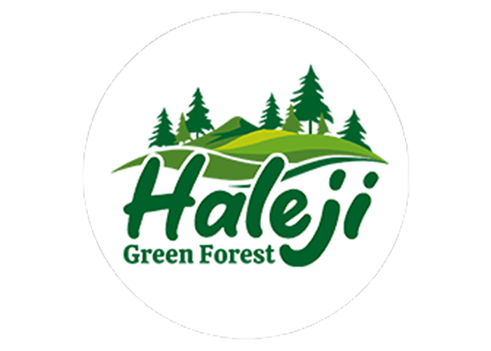Unlock%20the%20Future%20with%20Haleji%20Green%20Forest!