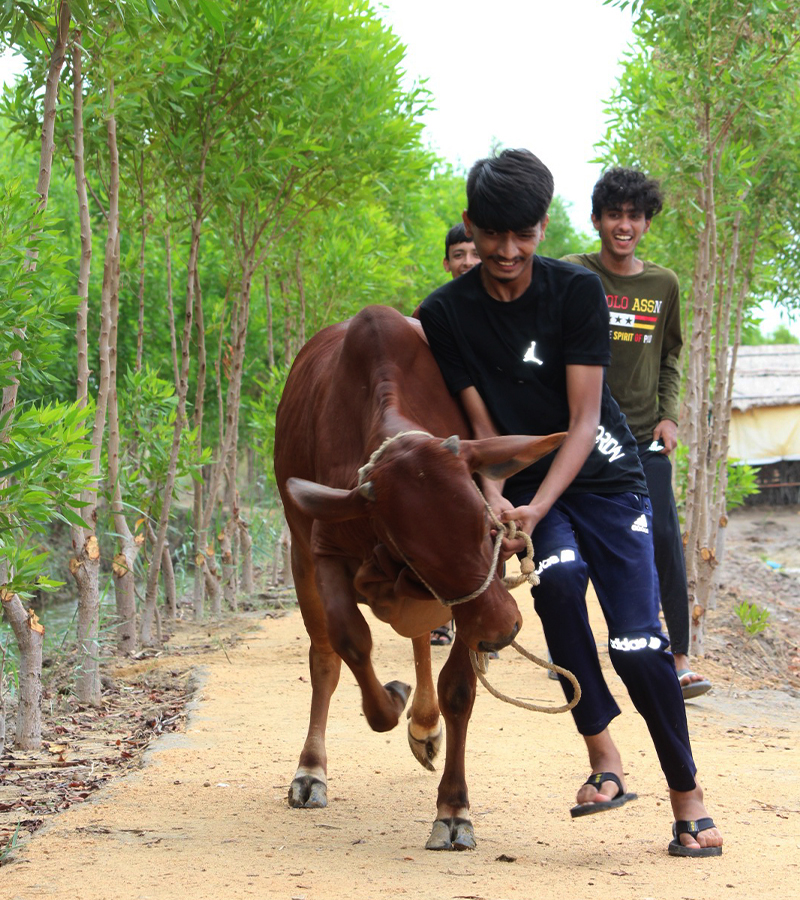 Unlock%20the%20Future%20with%20Haleji%20Green%20Forest!