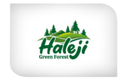 Unlock the Future with Haleji Green Forest!