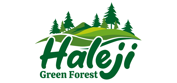 Unlock%20the%20Future%20with%20Haleji%20Green%20Forest!